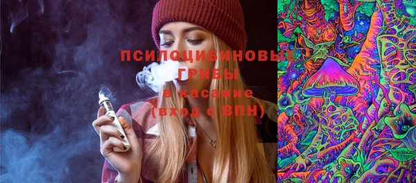 крисы Алзамай