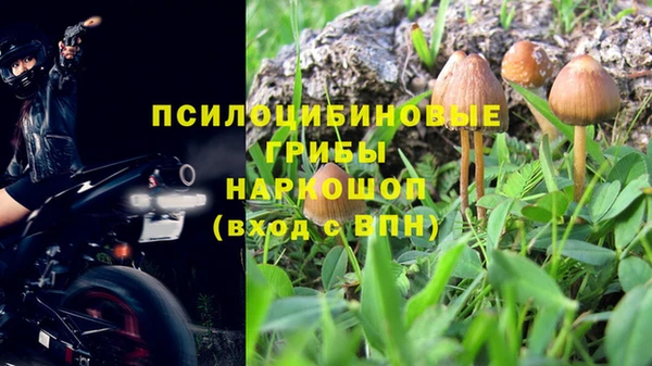 героин Алексин