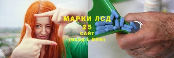 крисы Алзамай