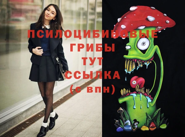 крисы Алзамай