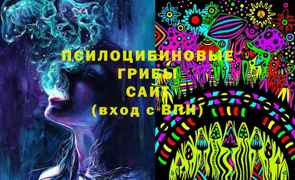 героин Алексин