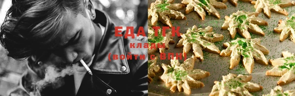 крисы Алзамай